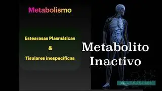 Farmacología Aplicada a Escenarios Clínicos Remifentanilo