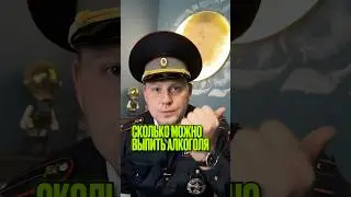 СКОЛЬКО МОЖНО ВЫПИТЬ И ПОЕХАТЬ ?! Правильно, лучше не пить 🍷