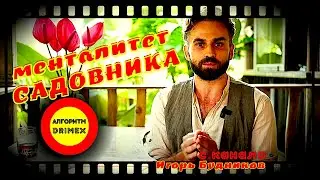 🔴  Менталитет САДовника в ИСКР