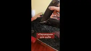 ✂«Перукарня» для шуби 🔥 Як стрижеться хутро 