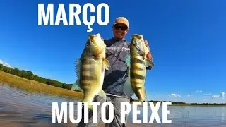 Voltei, voltei Brasil! Pescaria em três Marias