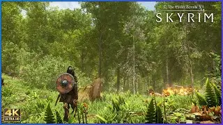 Is this even SKYRIM anymore !! 