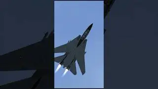 Unforgettable legend bombcat | #shorts #short #stealthfighter #militaryaircraft