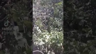 Burdur Çavdır 1234567