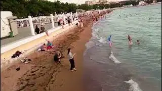 Купаемся в теплой воде вечернего Геленджика и слушаем Артема Реутова 31 июля 2024