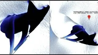 Massive 'Mystery Structure' Discovered In Antarctica: Object Emerges from Snow; Could be Ancient