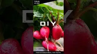 Revolutionize Your Food Growth with Sustainable Eden Towers #food #investing #independence