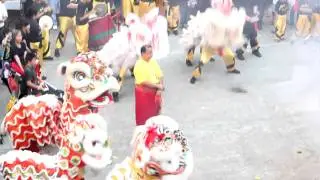 Chinese New Year Hawaii 2011