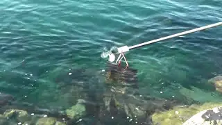 Electricity from the sea