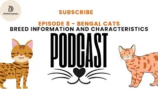 Episode 8 - Are Bengal Cats REALLY the Most INTELLIGENT Breed EVER