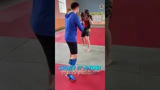 Жесткий щит 🛡️ из тайского бокса 🥊