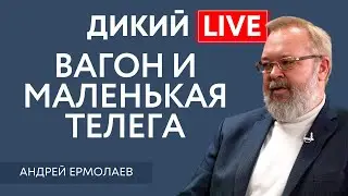 Решение принято. Андрей Ермолаев. Дикий LIVE.