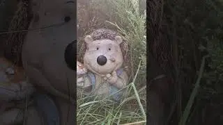 Good Morning, Peter/# September 2025/