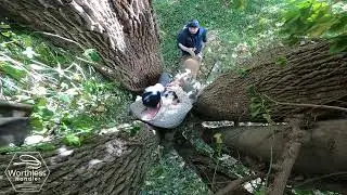 High find area search