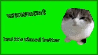 wawacat but it's on beat