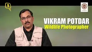 Wildlife in Kanha National Park | Madhya Pradesh Tourism