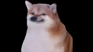 Phantom Forces Kill Complation