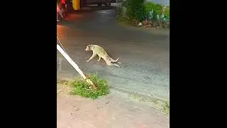 Оскара йому !