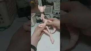 Pink fox bjd doll furry / Розовая лиса кукла фурри