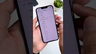 iOS 17 New Ringtones and Release Date 