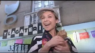 Mexico City is pet friendly
