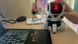 Lucky Number 搖頭