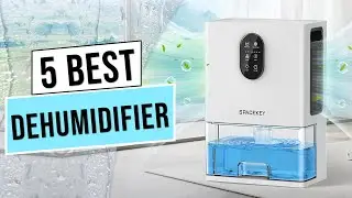 Best Dehumidifiers 2024 | Top 5: Dehumidifier