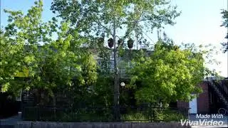 Г. Петухово