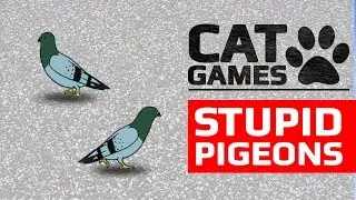 CAT GAMES - 🕊️ STUPID PIGEONS (ENTERTAINMENT VIDEOS FOR CATS TO WATCH)