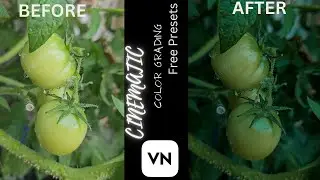 Free VN Editor Cinematic Color Grading Tutorial | Best Free Presets for Stunning Videos