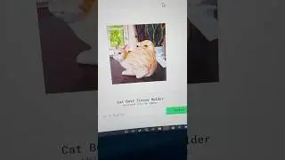 Websites to try when your bored Part 4