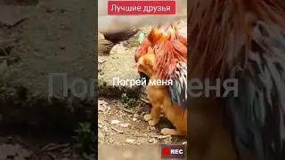 Моёхозяйство #automobile друзья