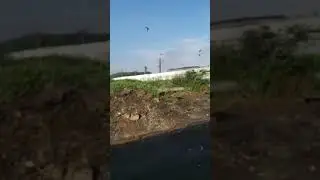 Кровь и зловоние у дороги в Чистогорске
