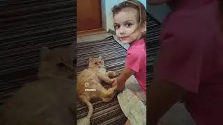 #котик_марсик #спасение_кота #животные