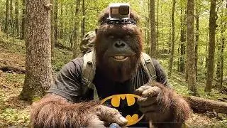 Bigfoot Vlog: I was pranking some hikers and things went sideways 😱”