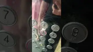 9 августа 2023 г.