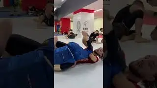 Выход на ноги, шлепнул, чтобы расслабить😂 