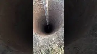 Вы видите Стаса ? А он там есть 😁