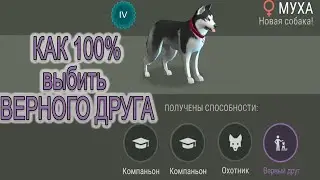 How to 100% Knock a FAITHFUL FRIEND IN LAST DAY ON EARTH SURVIVAL