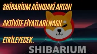 Shibarium Ağındaki Artan Aktivite Fiyatları Nasıl Etkileyecek.
