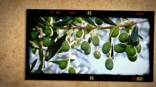 Las 200 Video Impacto Visual Para Web