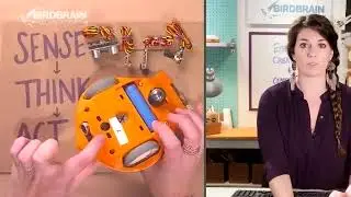 Exploring Creativity and CS - 11/11/19