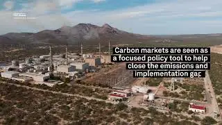 COP28: The Policies