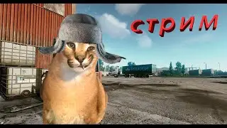 ВЕЧЕРНИЙ ТАРКОВ\\ЛАМПОВЫЙ СТРИМ