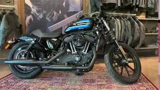 Iron 1200 Sportster Harley-Davidson 2019