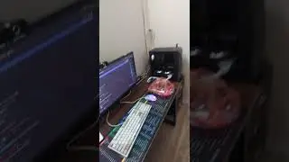 Rì viu căn nhà óc chó đang ở