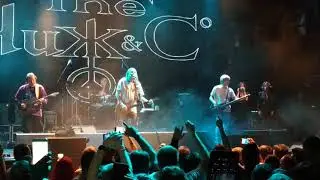 Чиж & Co - 18 берез // 19.09.2020, ГЛАВCLUB, Москва