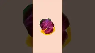 something’s brewing… 🌸 flowers 🌸 enters the world on Friday