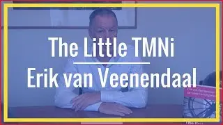 Erik van Veenendaal - Releashing The Little TMMI