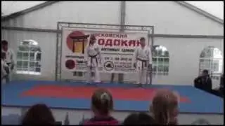 Фестиваль Боевых Искусств на Чистых Прудах 2013